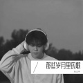 张尘宇 - 感官先生