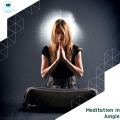 Zen Town - Quiet Souls