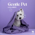Pet Care Club - Lie Down – Just Relax