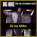 Big Mike、DJ Ice Mike - Down Home
