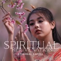 Mindfulness Meditation Music Spa Maestro - Fleeting Beauty