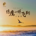 王超然 - 像鹰一样飞翔