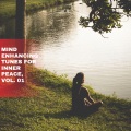 Pedro Dj - Piano Meditation Beauty