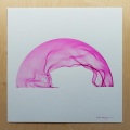 Jas Shaw、James Shaw - It turns into a she