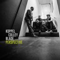 benjamin koppel、Scott Colley、Brian Blade - COCONINO COUNTY