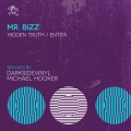 mr. bizz、Michael Hooker - Hidden Truth