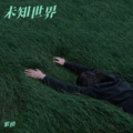 紫横 - 刀山火海