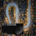 袁十七 - 五十年以后