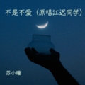 苏小瞳 - 不是不爱 (Acoustic)