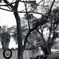 Omanji Sinkala - List