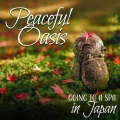 Mindfulness Meditation Music Spa Maestro - Ocea Shore