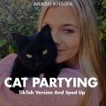 Akash Khaira - Cat Partying (TikTok Version And Sped Up)