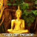 Buddhist Meditation Music Set、Om Meditation Music Academy、Tao Te Ching Music Zone - Divine Bliss