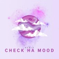 NVBR - Check Ha Mood (Remix)