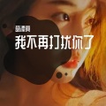 歌手雅儿 - 我不再打扰你了