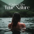 Mindfulness Meditation Music Spa Maestro - Natural Spa