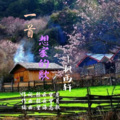 枫雨轩 - 一首想家的歌
