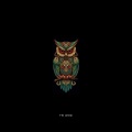 Elefantes、Amaral - Firo