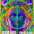 david amo - Pineal Gland