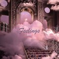 DMT - Feelings