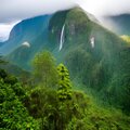 ZUHD - Rain Forest Sound For Sleeping Relaxing Studying vol2