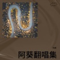阿葵 - 苏公堤