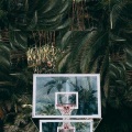 Cruel Santino、Genio Bambino、Odunsi (The Engine) - Jungle Fever (Explicit)