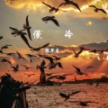曜华辰 - 夏天的夜