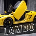 Sugar Boy、Vitalina - LAMBO (feat. Vitalina)(Explicit)