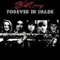 The Blood Orange - Forever in Shade