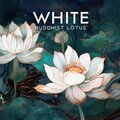 Mindfulness Meditation Music Spa Maestro - Tranquil Mood