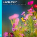 Rising Higher Meditation、Jess Shepherd - How to Trust: Inspirational Meditation and Affirmations