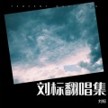 刘标 - 男人好难
