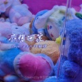 轮回是酸菜鱼 - 不想回家
