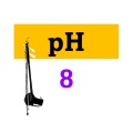 pH music label - Southern Chimes