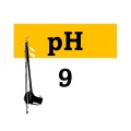 pH music label - Shanghai Nights