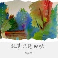 杜永明 - 往事只能回味