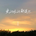 南柒夏 - 爱的恨的都是你