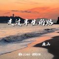 廉山 - 走过半生的路