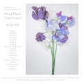 A23LAB. - echolocation