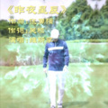 维斯李 - 昨夜星辰