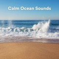 Calm Ocean Sounds、Stress Relief Calm Oasis、Seas of dreams - Mesmerising Ocean Melodies for Absolute Calm, Pt. 30