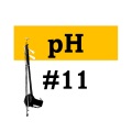 pH music label - Withering Flowers