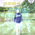 维斯李 - 堆积情感