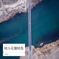 桃小花 - 别再问我什么是迪斯科 (Live)