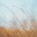 Roedelius、Arnold Kasar - A Piacere