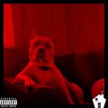 David Darnell Brown、Young Buck、Black Eyed Casper、Brad Lee Kalkwarf Jr、Anno Domini Nation - I Pay The Bills