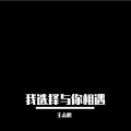 王志鹏 - 我选择与你相遇