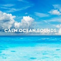 Calm Ocean Sounds - Calm Ocean Sounds, Pt. 25