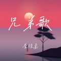 李佳柔 - 兄弟歌